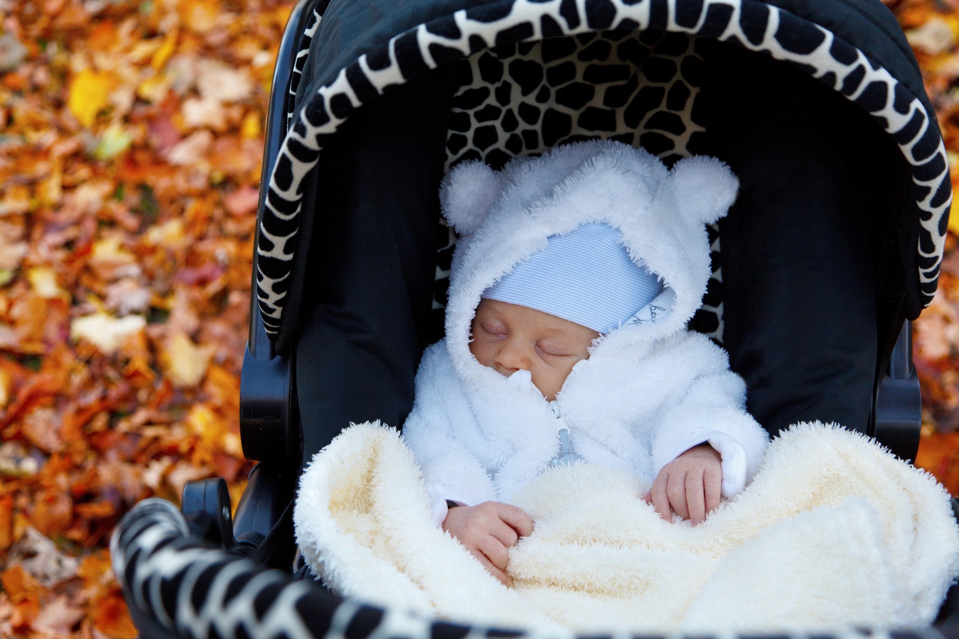 Afdrukken Kostuums peper De duurste kinderwagen? Bekijk de top 10 duurste kinderwagens! - PipasKids  NL